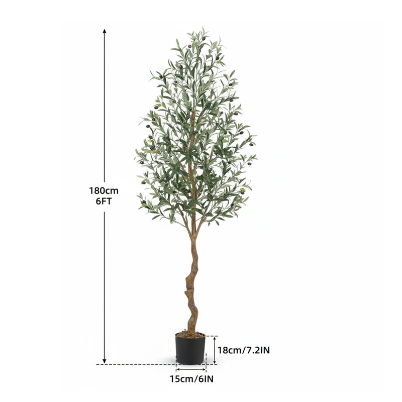 180cm Plant