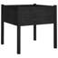 Alasteir Wood Planter Box-1392064338-1392064349