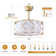 19'' Modern Ceiling Fan with Light