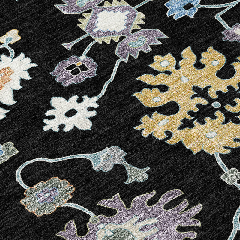 Machine Washable Indoor/Outdoor Chantille ACN2532 Traditional Rug, Rectangle 1'8" x 2'6", Black