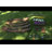 Classic Curved Playground Border-32244354