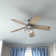 52" Foxhaven 5 - Blade Standard Ceiling Fan with Pull Chain and Light Kit Included