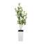 Faux Plant-216967046