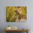 Selective Focus of Rock Hyrax-2031024781