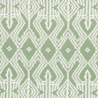 Asaka Ikat Fabric