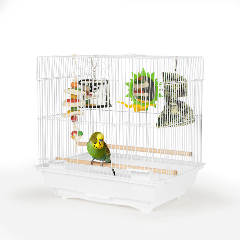Fun Time Cage Kit