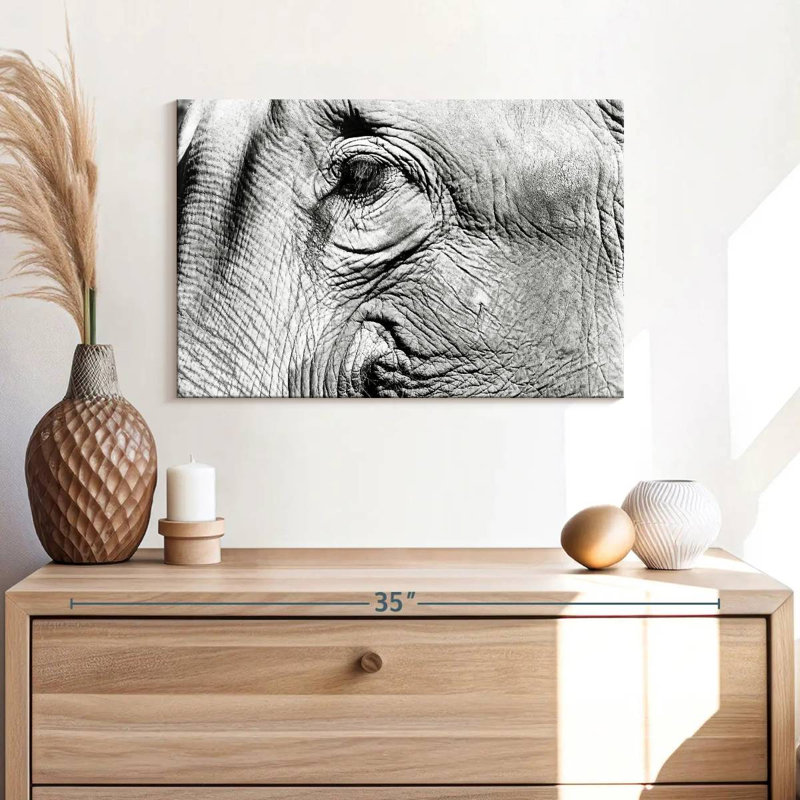 Brampt Elephant Close Up BW, 16" H x 24" W