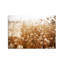 Boze Wall Decor