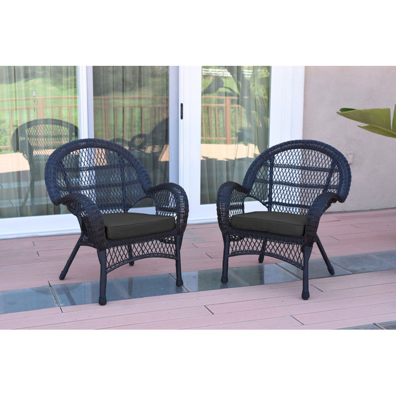 Maltby Wicker Outdoor Lounge Chair, Black, Black