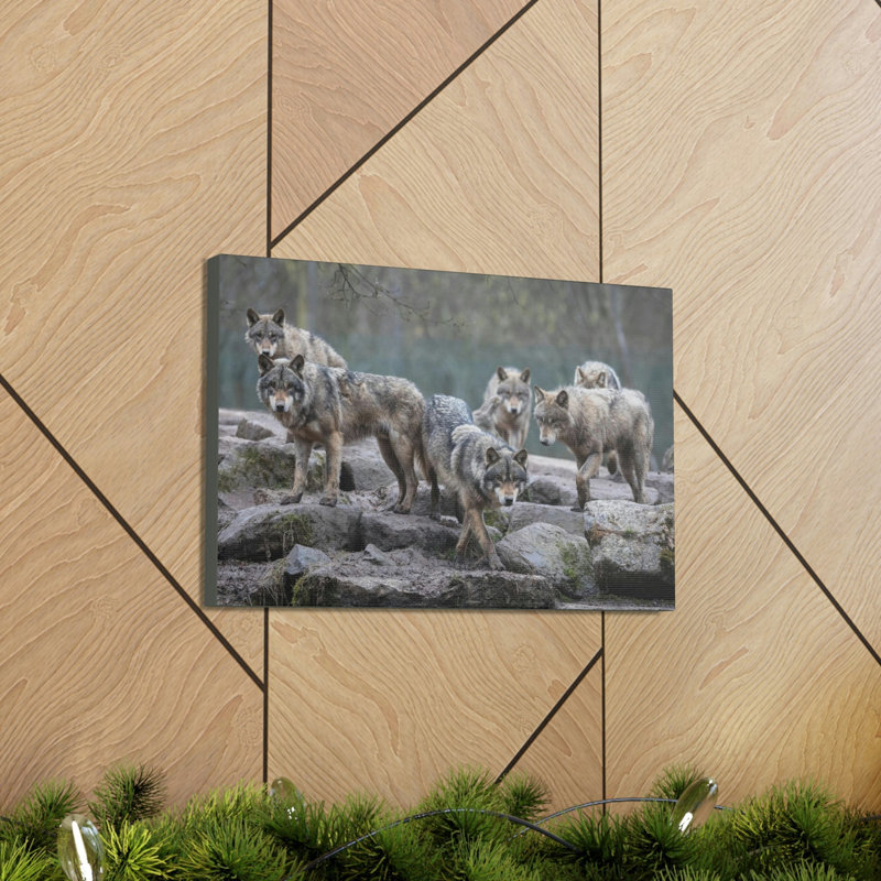 Reproduction d'art loup, H 11 po x l 14 po