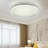 Hunterstown Plastic LED Flush Mount