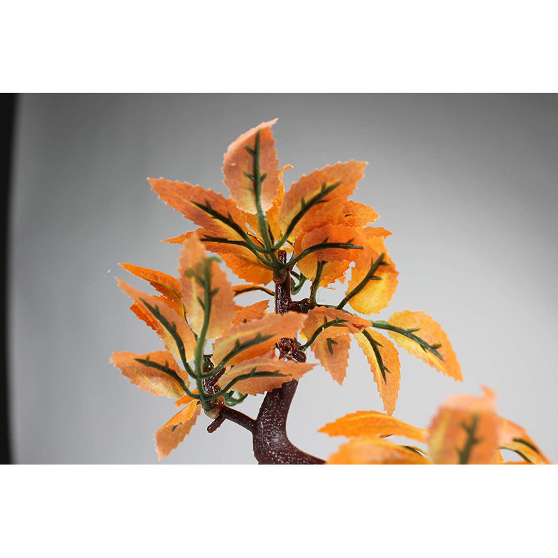 Accessoire d'aquarium