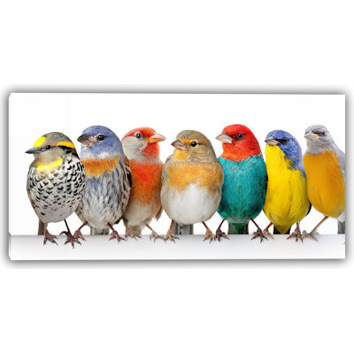 Golden Sky, oiseaux chanteurs sur toile tendue