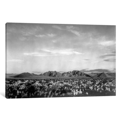 Reproduction de photo sur toile tendue near deces valley national de ansel adams