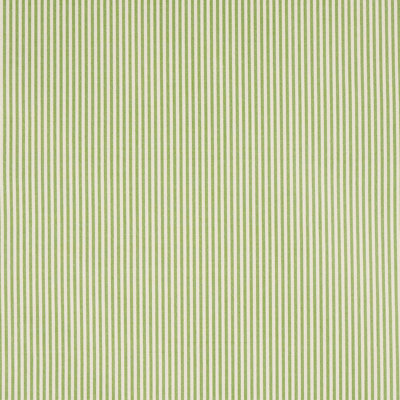 Charee Silk Stripe Fabric