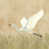 Beige / vert / gris