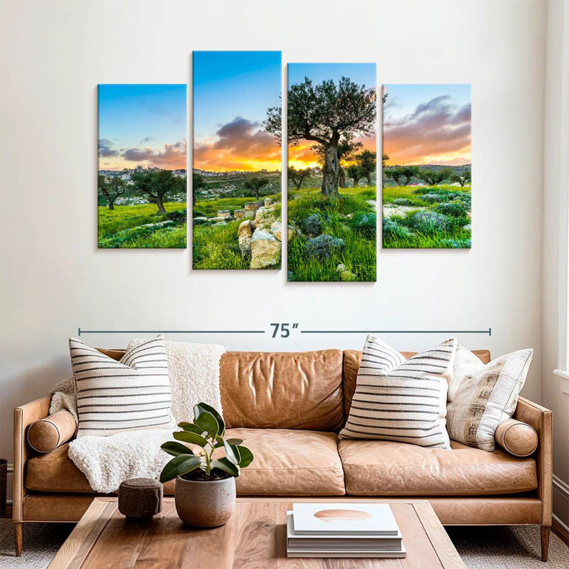 Harnek Olive Trees At Sunset