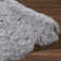 Petrey Indoor Rug
