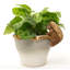Blumenthal UV Resistant Stone Garden Statue