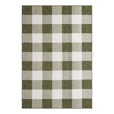 Tereon Checkered Machine Made Power Loom Polypropylene Plastic Indoor/Outdoor Area Rug in Green