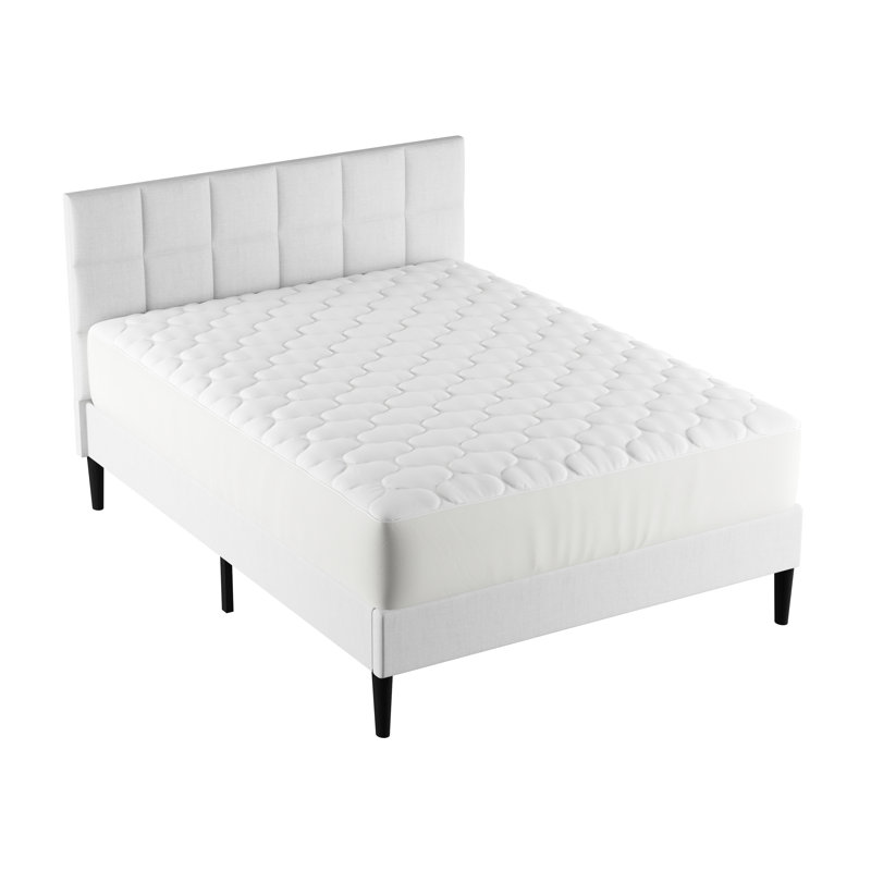 Housse de protection ajustée 100% coton hypoallergénique, Jumeau