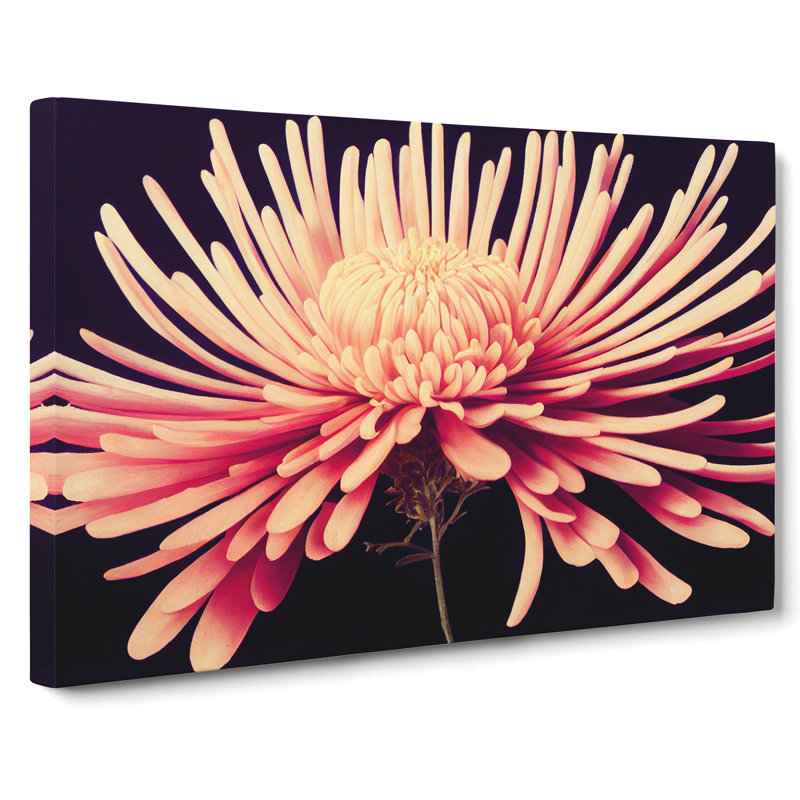 Lively Chrysanthemum Flower - Wrapped Canvas, 50cm H x 76cm W x 3cm D