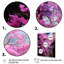 Rose konini fuchsia II - Fuschia, art mural-552841368-586621116