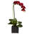 Orchid Arrangement in Vase