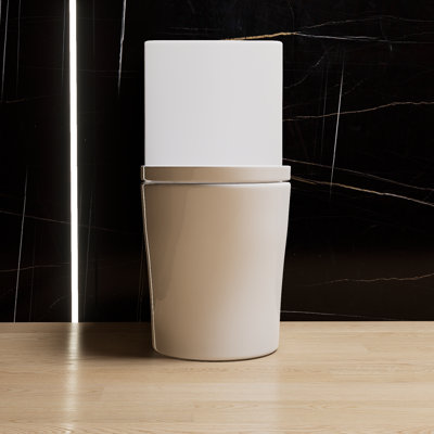 Toilette allongée blanche une pièce, toilette double chasse haute performance, style moderne et épuré