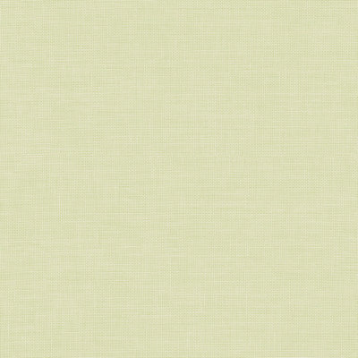 Shelbyville 32.7' L x 20.5" W Wallpaper Roll