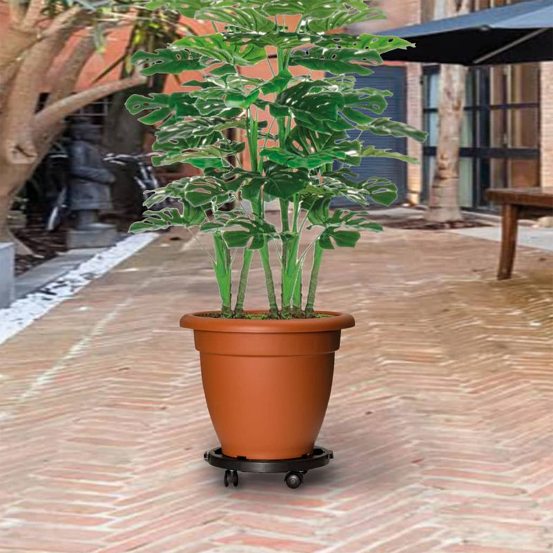 Plant Stand