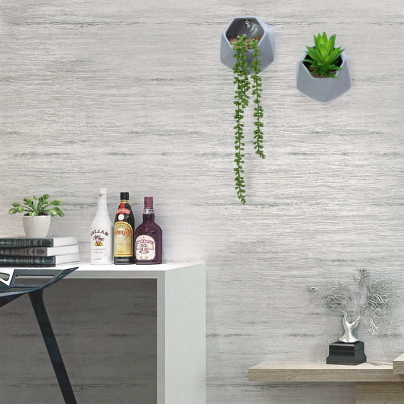 Jonine Ceramic Wall Planter