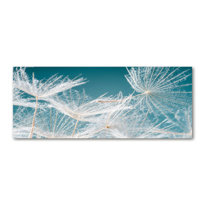 Dandelion Seeds - No Frame Print on Canvas