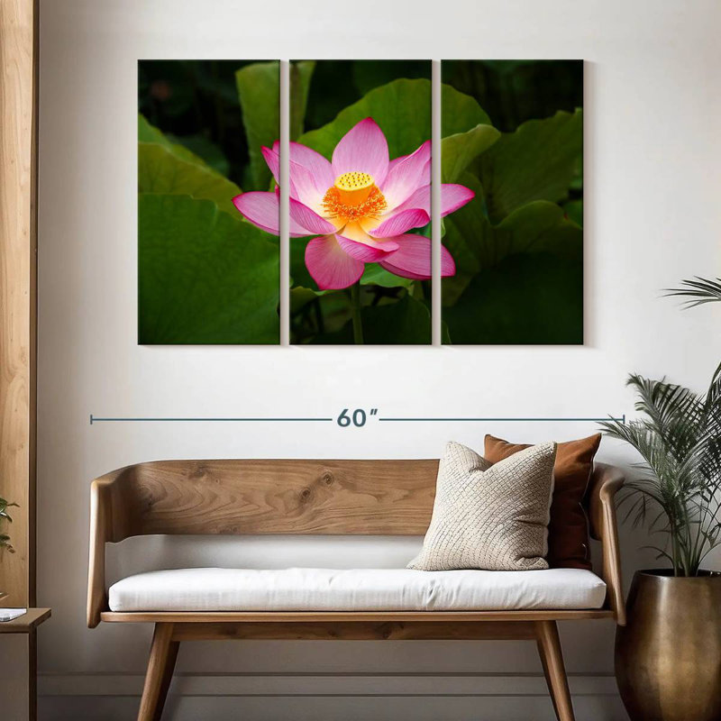 Fresh Lotus Flower