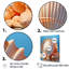Coquilles opulentes symboliques sur toile-1265739397-1265739396