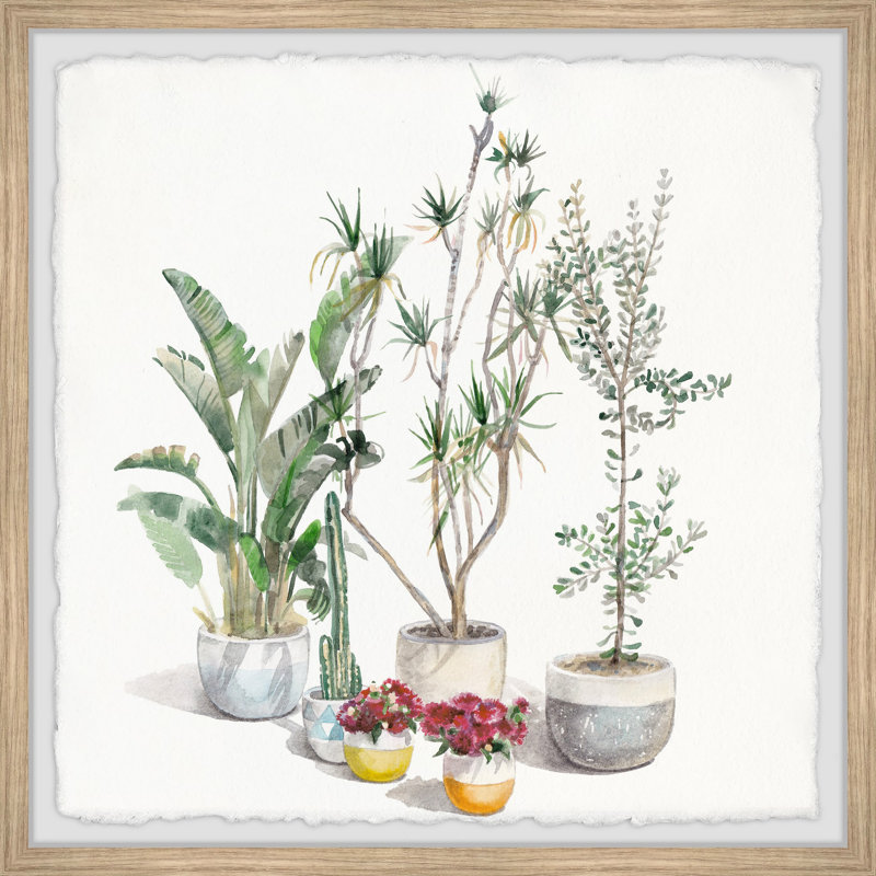 Tropical Flair - Single Picture Frame Painting, 51cm H x 51cm W