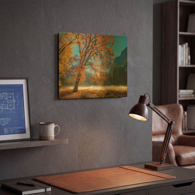 «Autumn Oak Sunrise & Fog» par John Gavrilis, art mural en métal doré, 16 po x 12 po