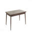 Table de salle à manger Contemporary