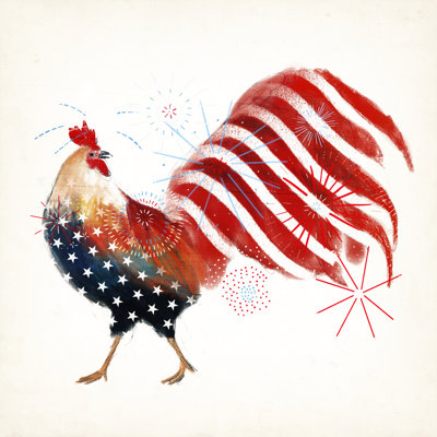 Coq, feux d'artifice I