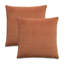 Gemma Velvet Square Pillow Cover & Insert-1449185797