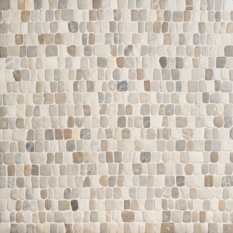 Sentier pittoresque de 11,81 po X 11,81 po Carreau de mosaïque murale en pierre naturelle (10,56 pieds carrés / chaque)
