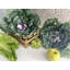 Plante de feuillage artificiel pour choux-118101373