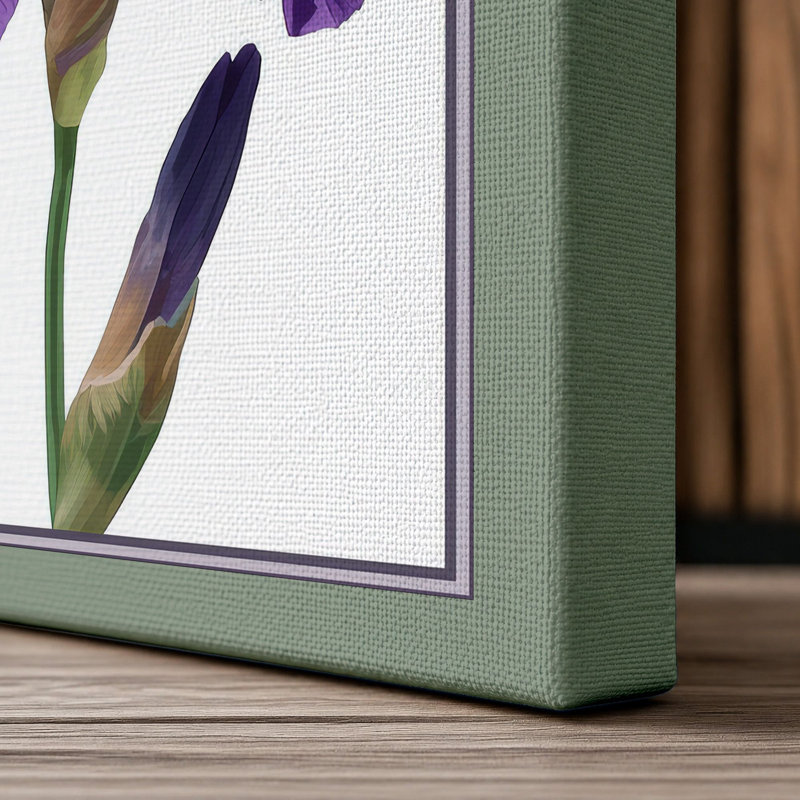 Twin Irises Botanical - Wrapped Canvas, 24x16 - 61.0 x 40.6 cm, Sage Border