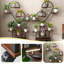 Support pour plante d'intérieur en forme de cœur avec lumières DEL pour la maison, le patio et les cadeaux