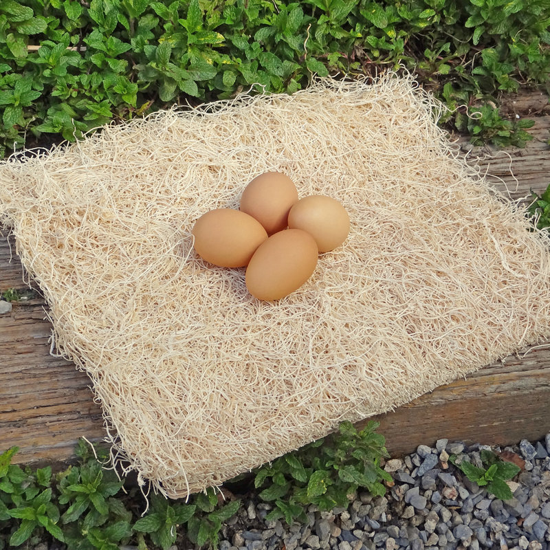 Coussin d’imbrication de poulet Gramercy