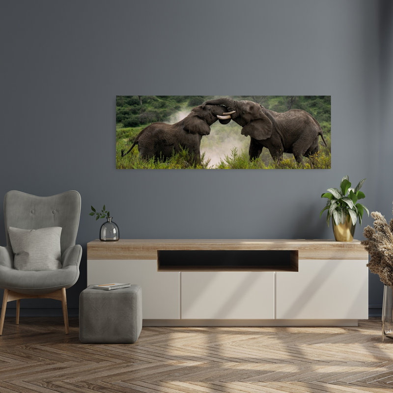 Powerful Elephant Interaction by Rajat Dhesi - Wrapped Canvas Panoramic Print, 40.64 cm H x 121.92 cm W