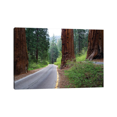 Road Passing Through a Forest, Sequoia National Park, California, USA 1 Piece Wrapped Canvas Wall Art