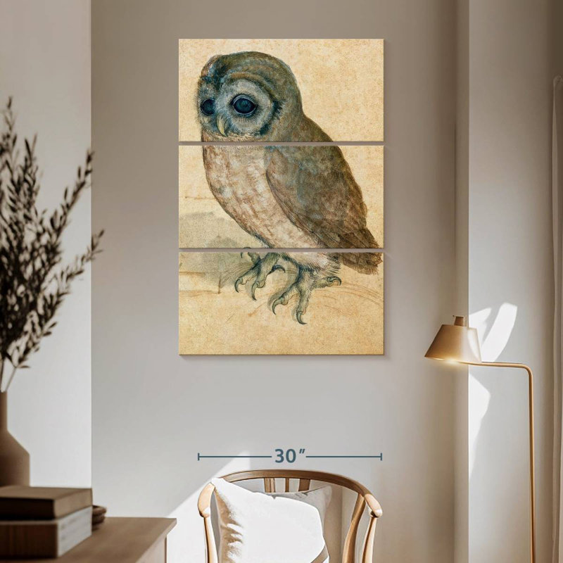 The Little Owl