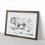 Prowling Lion by Jean Bernard - Picture Frame Drawing Print-55601966-55601968