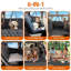 Back Seat Extender for Dogs-123250492